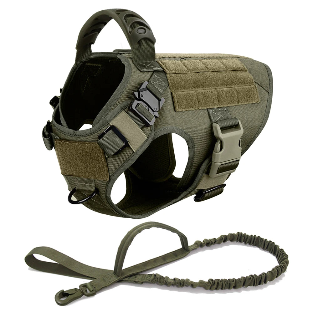 Dog Harness And Leash