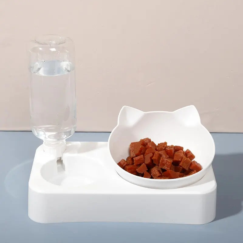 Cat Feeding Bowl
