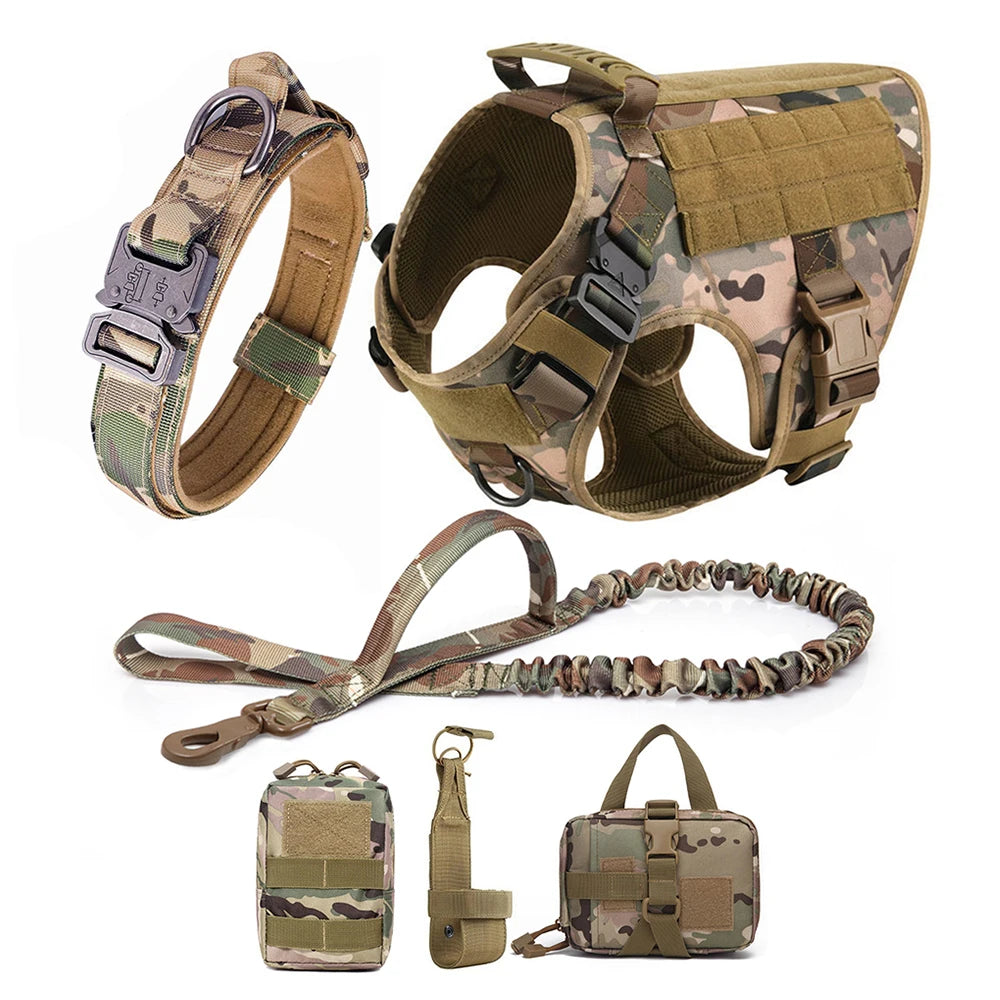 Dog Harness And Leash