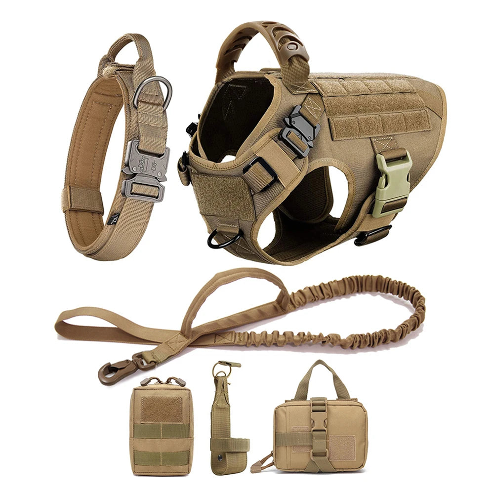 Dog Harness And Leash