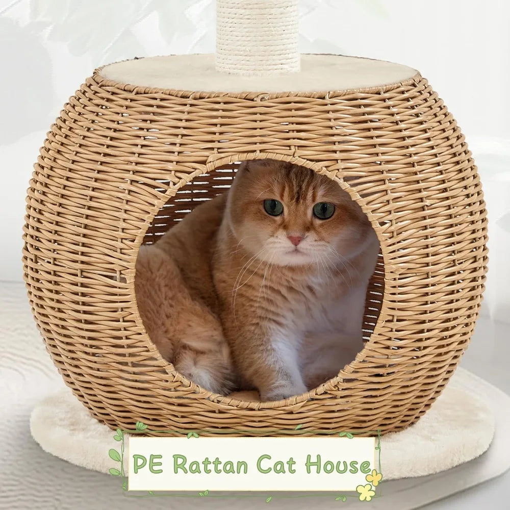 Cat Tree