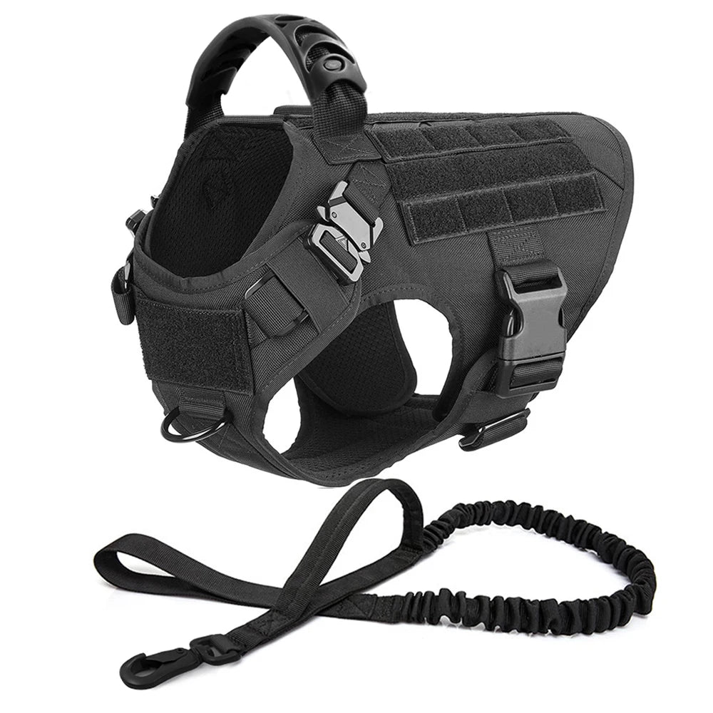 Dog Harness And Leash