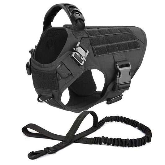 Dog Harness And Leash