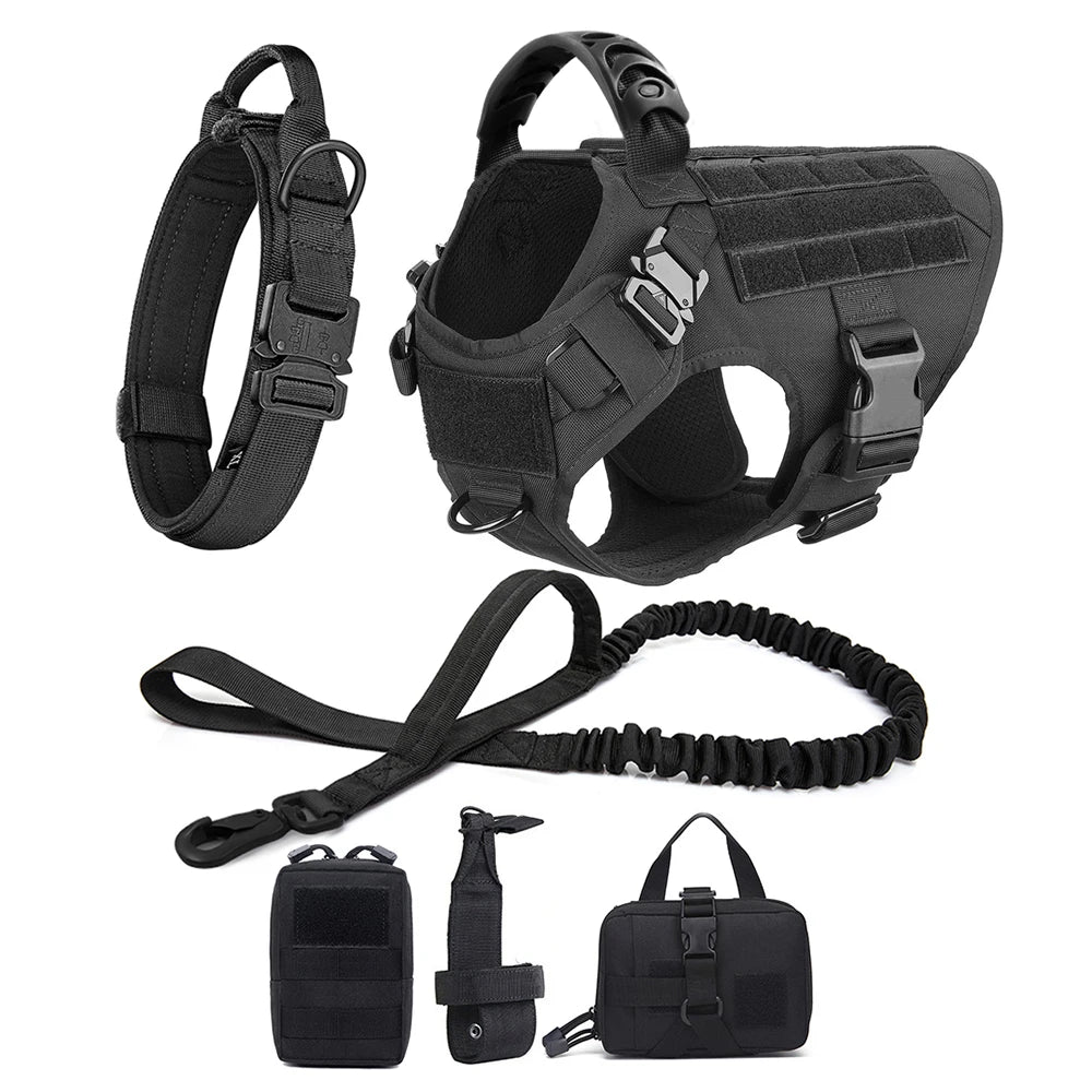 Dog Harness And Leash