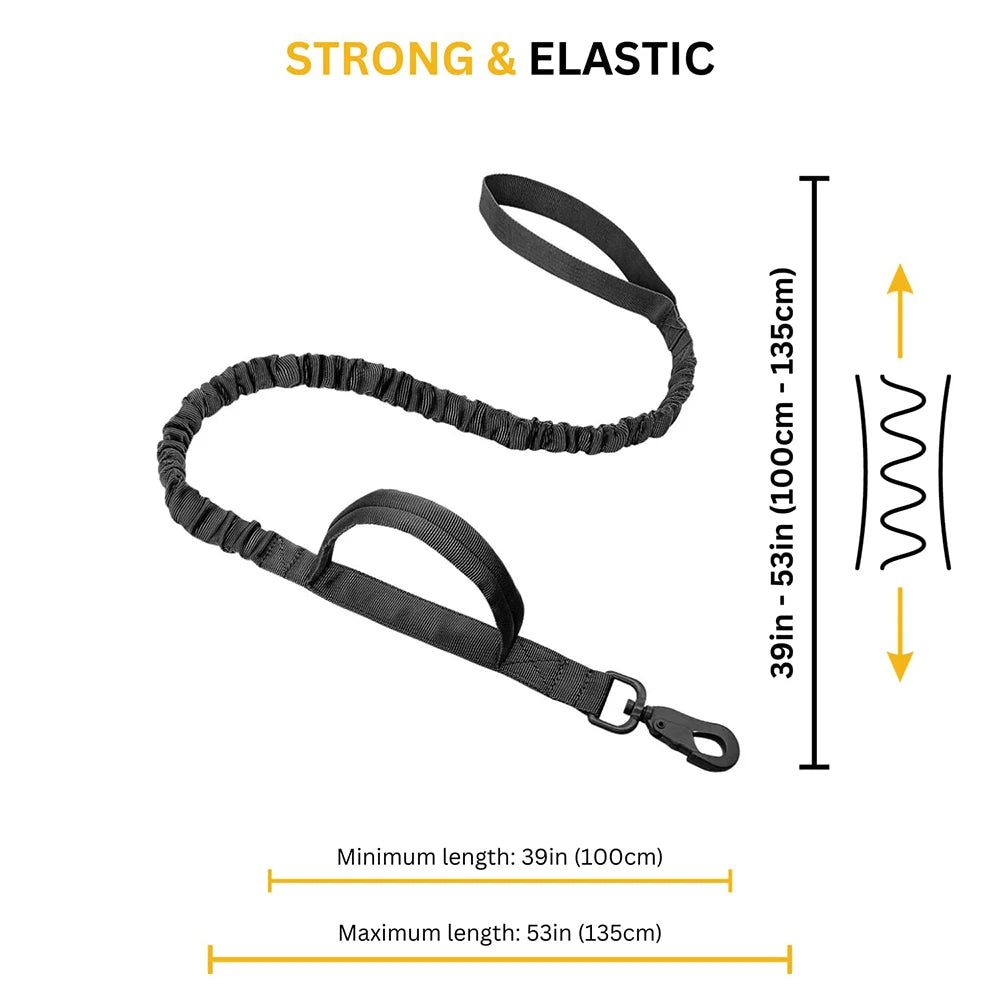Dog Harness And Leash
