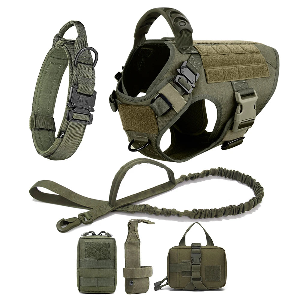 Dog Harness And Leash