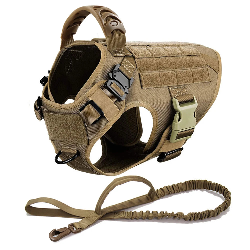 Dog Harness And Leash