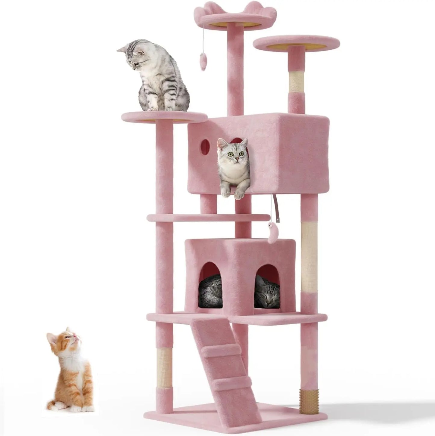 Cat Estate