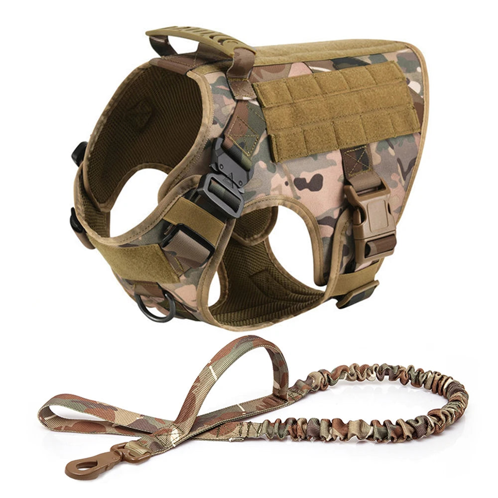 Dog Harness And Leash